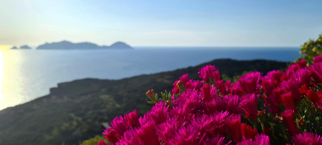 Guest House Villa Il Gabbiano Ponza Exterior photo